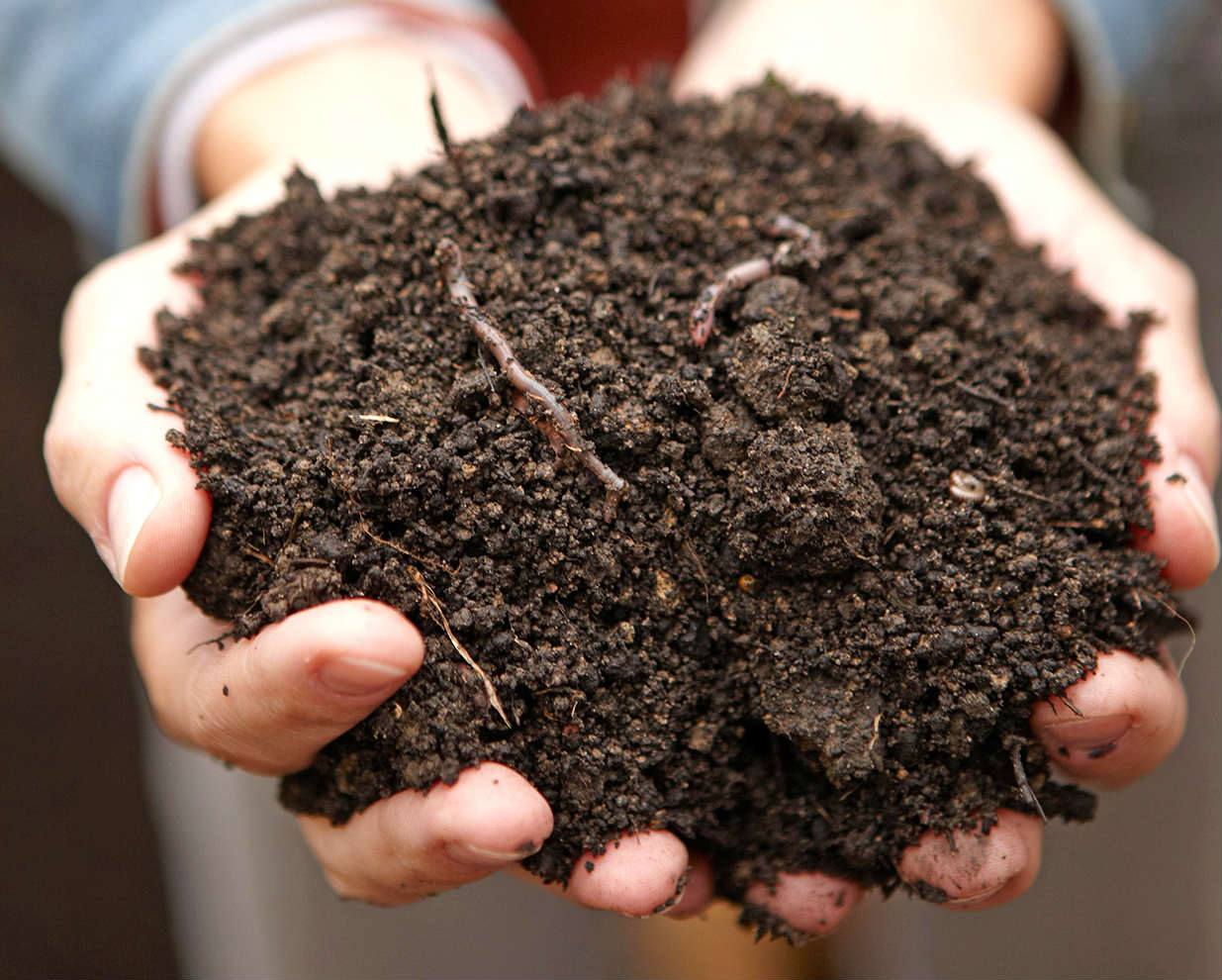 Как улучшить тяжелую глинистую почву