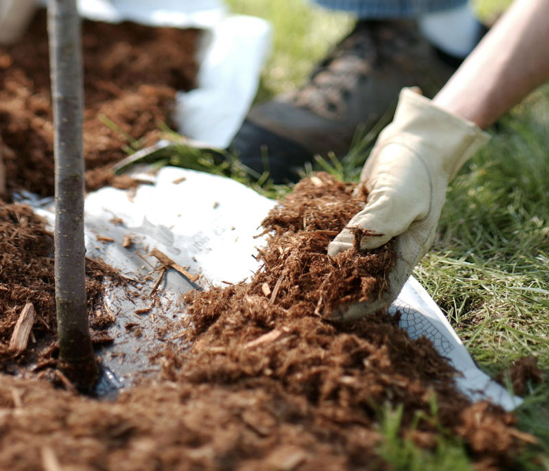 Как правильно мульчировать почву и зачем это нужно