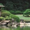 сад японский